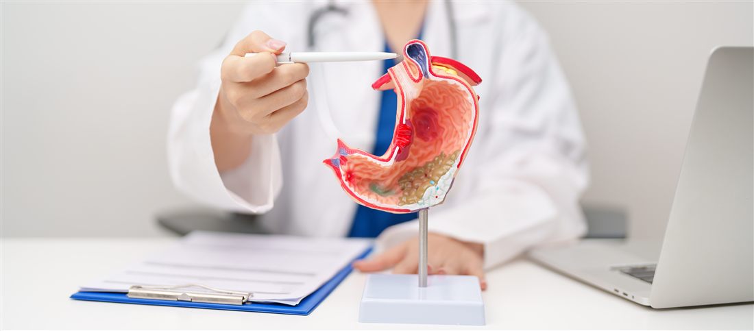 A doctor explaining the digestive system using a model